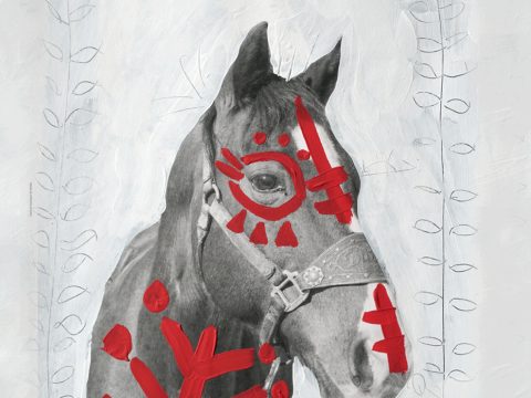 Biografilm Festival: un cavallo d'artista per l'immagine del festival