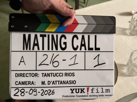 Denise Tantucci e Gabriel Ríos dietro la macchina da presa per “Mating Call"